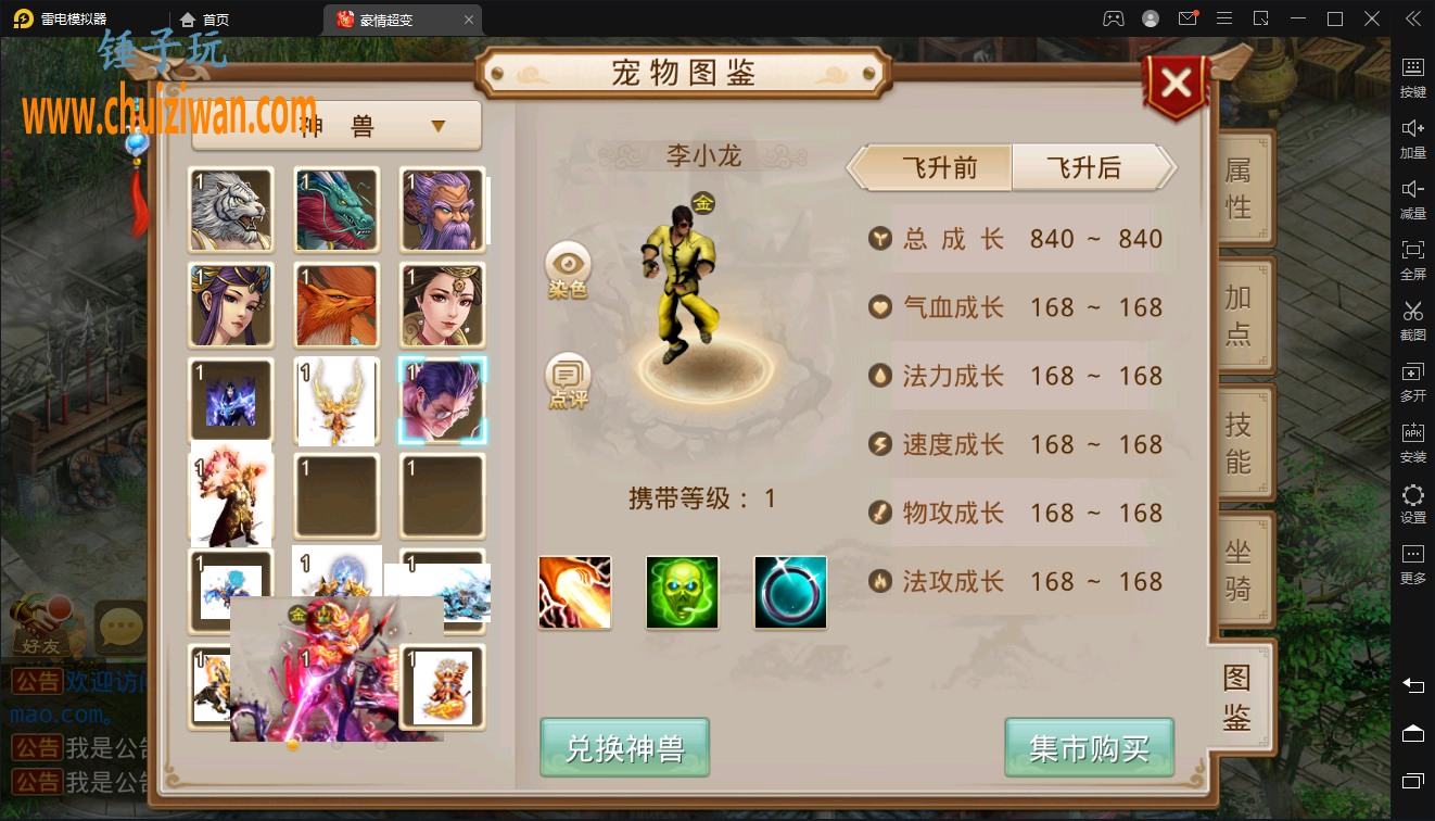 5.png