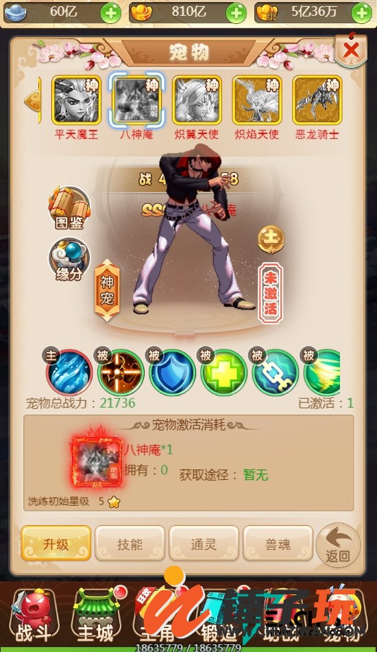 d5.jpg