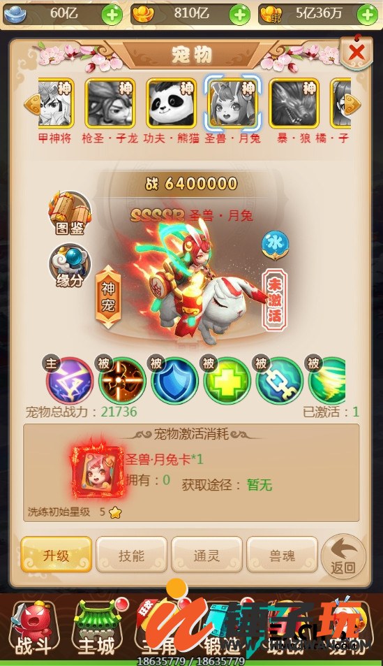 d8.jpg