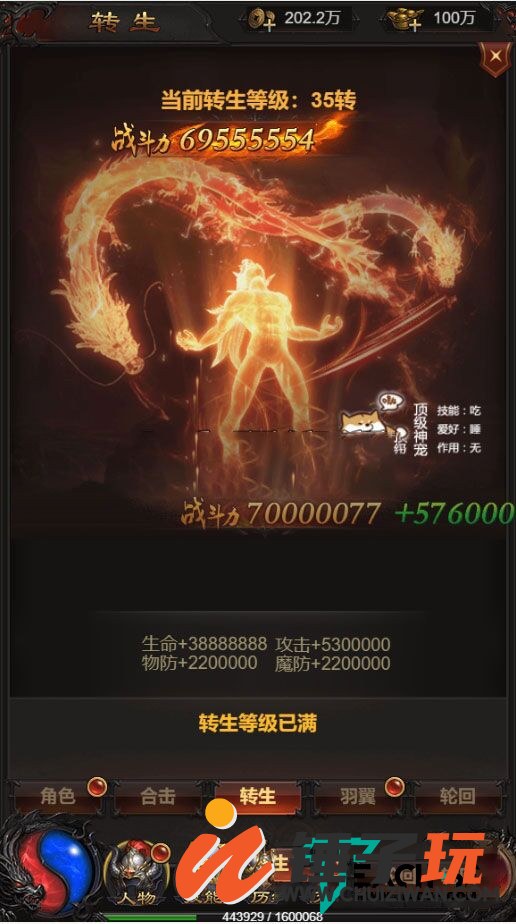d2.jpg